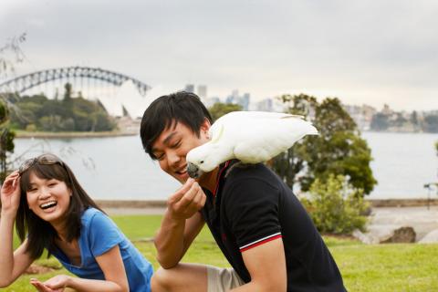 悉尼, 留学, 女生, 求包养, 找干爹